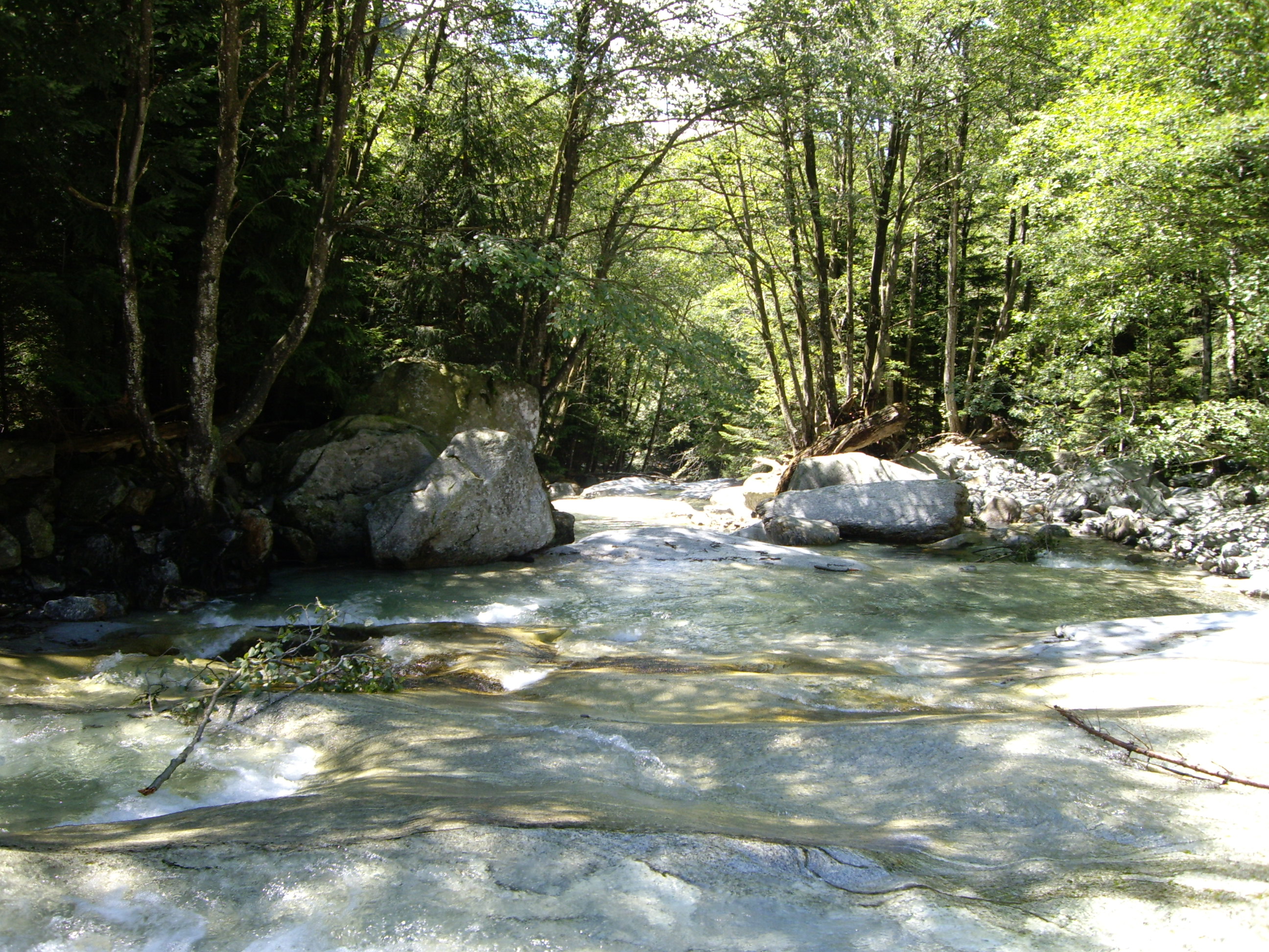 Ein ruhiger Fluss im Wald